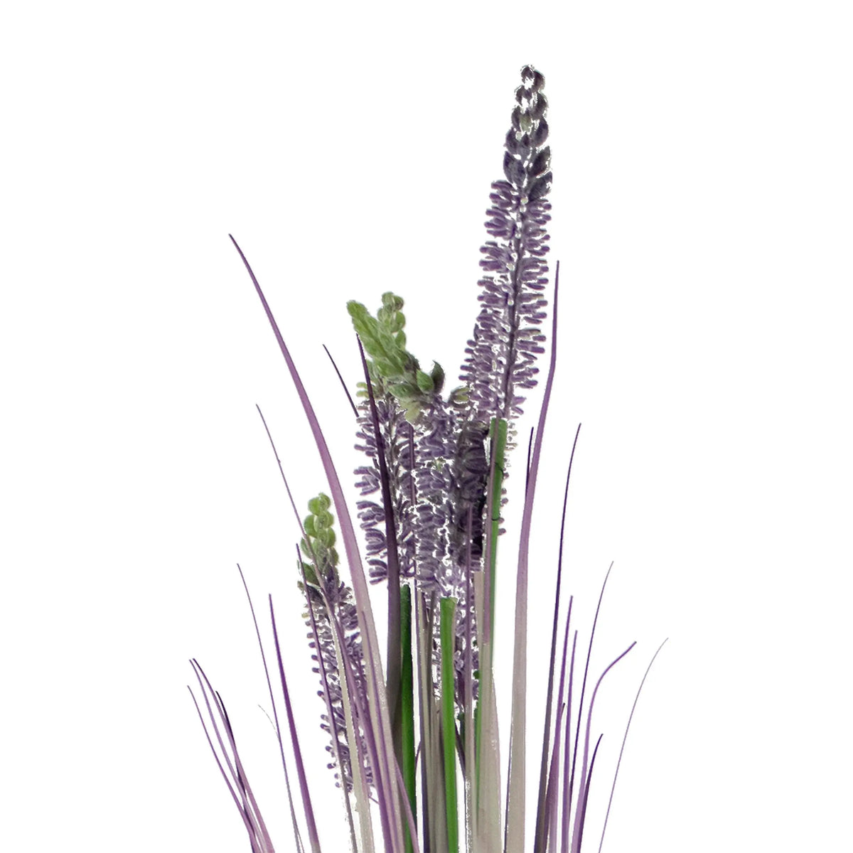 Decorative lavender grass bush green/purple 75cm