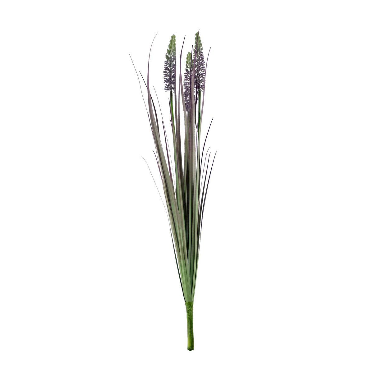 Decorative lavender grass bush green/purple 60cm