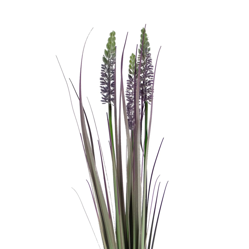 Decorative lavender grass bush green/purple 60cm