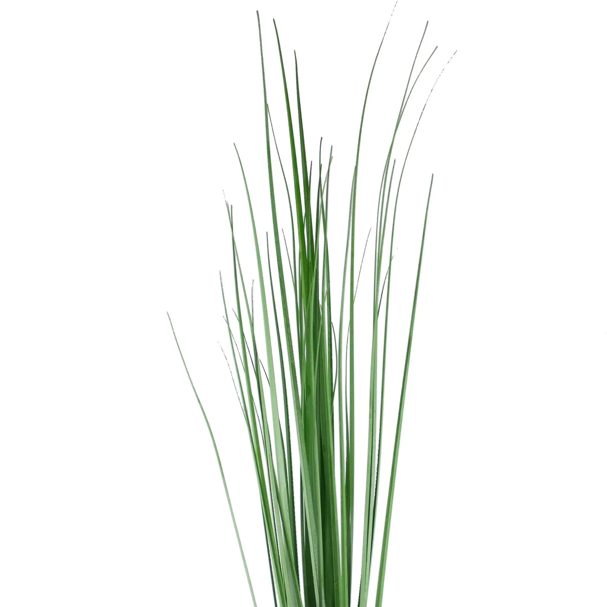 Decorative grass bush green 100cm