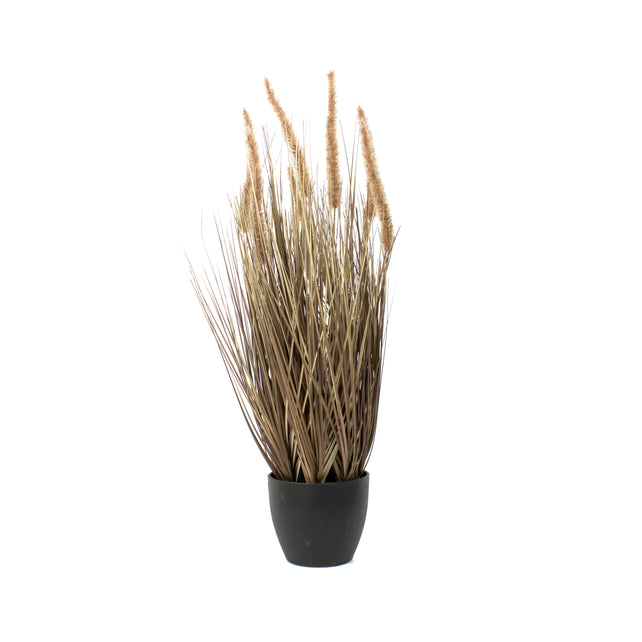 Dekogras HUNDSZAHNGERSTE m. Topf 70cm natur