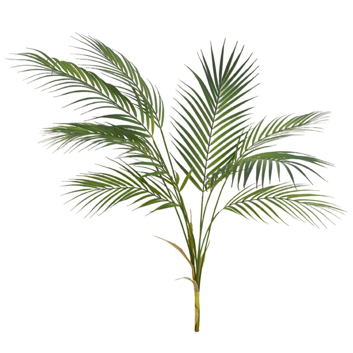 Branch palm green PE 50x50x90