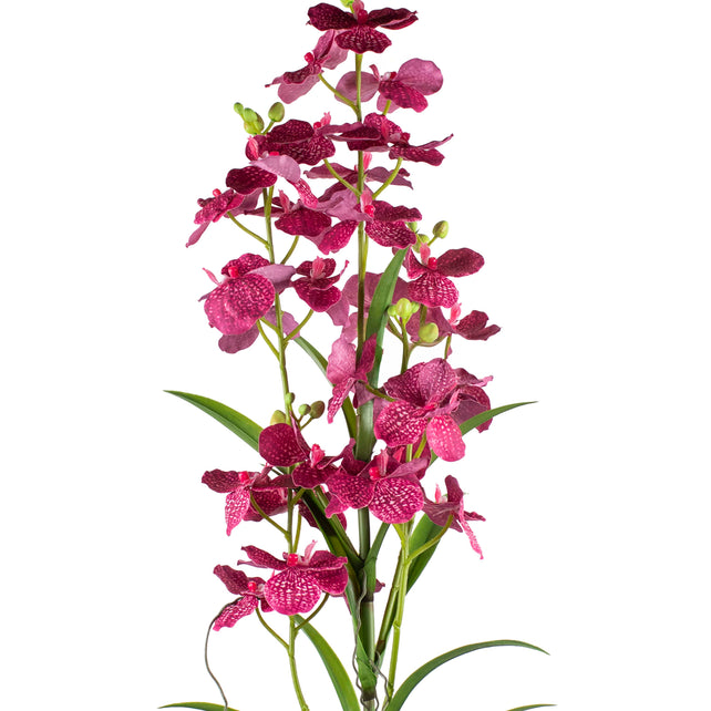 Flower orchid purple 130cm