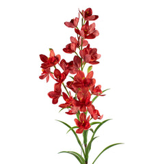 Flower cymbidium red 130cm