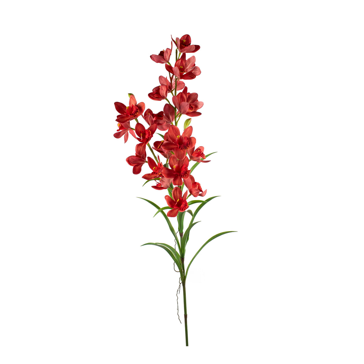 Flower cymbidium red 130cm