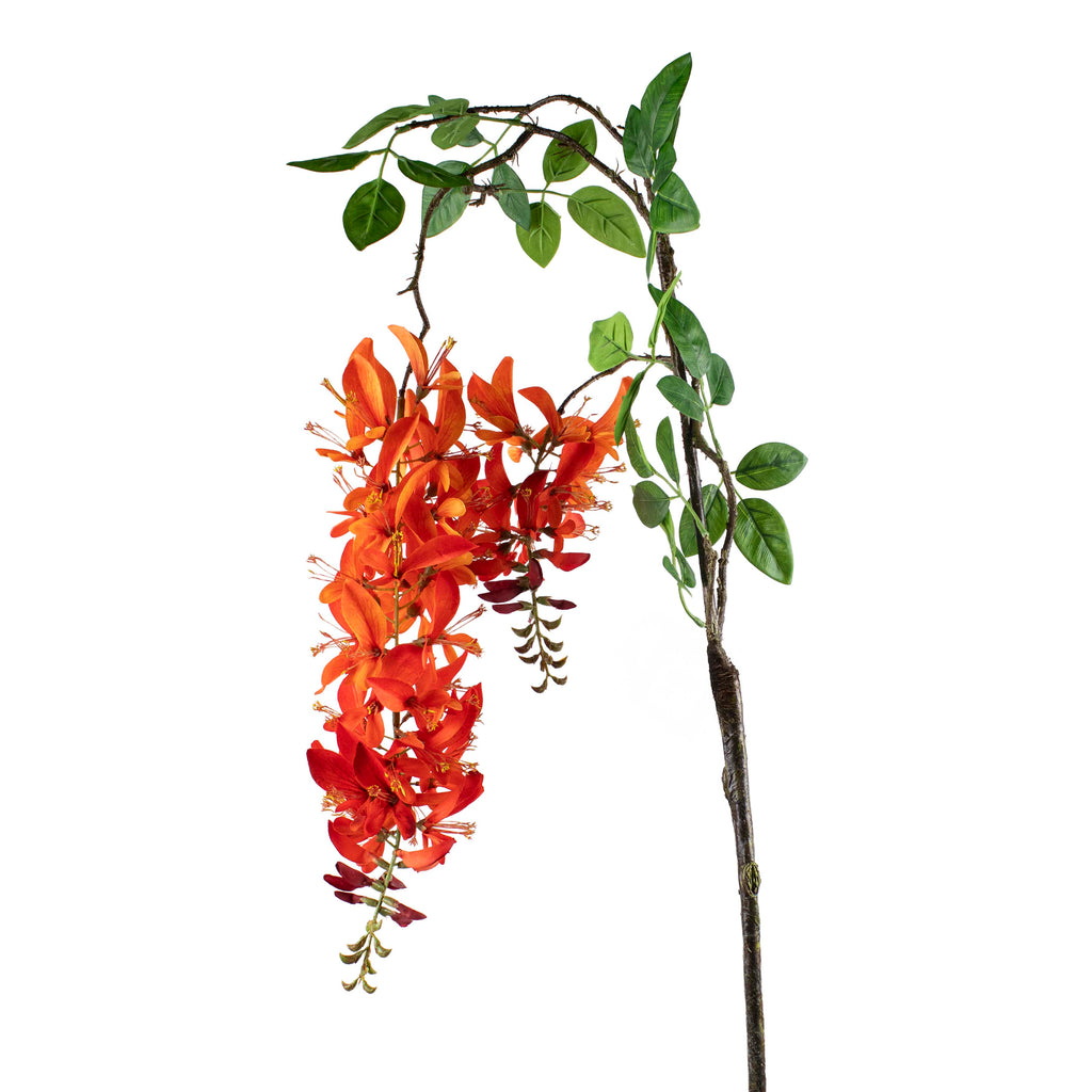 Flower honeysuckle orange red 189cm