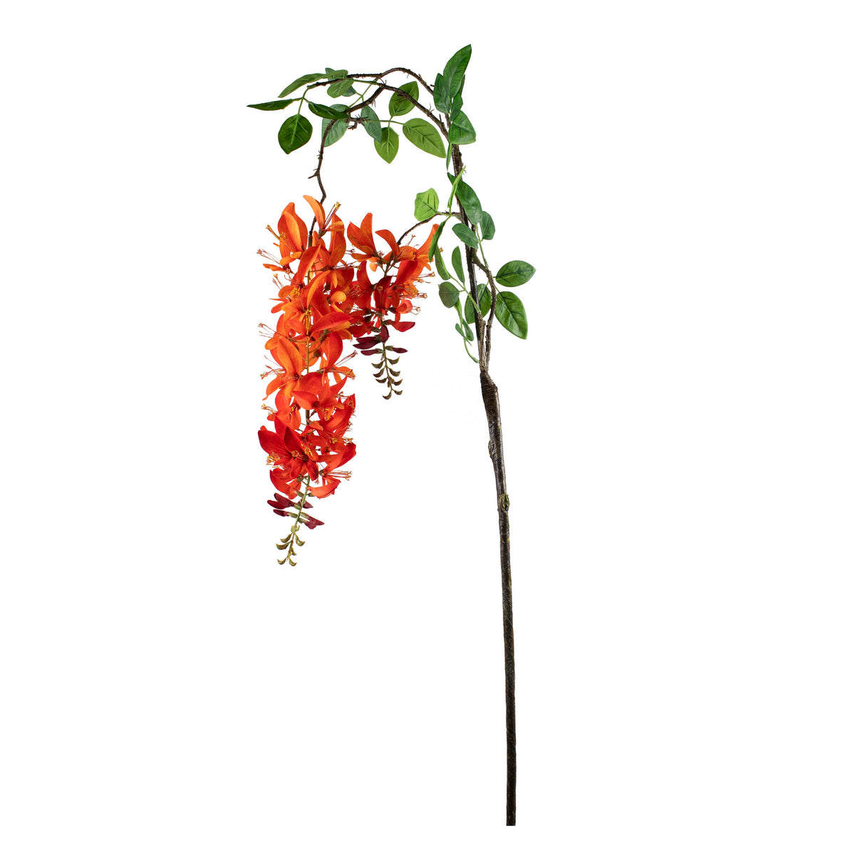 Flower honeysuckle orange red 189cm