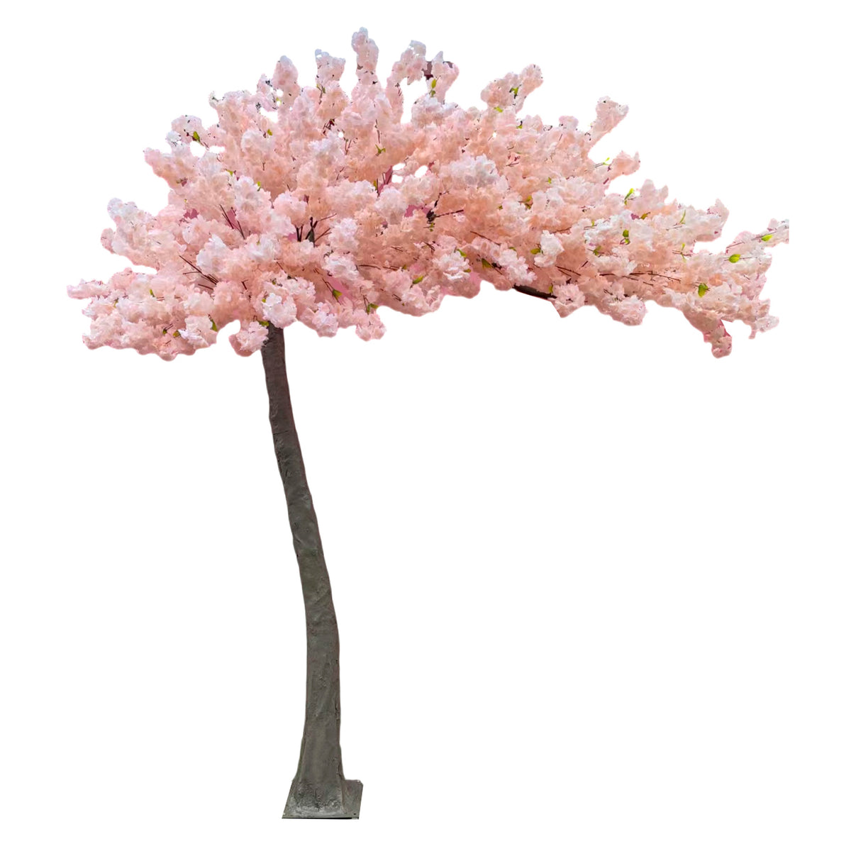 Boom BLOESEM 300x150x300cm champagne