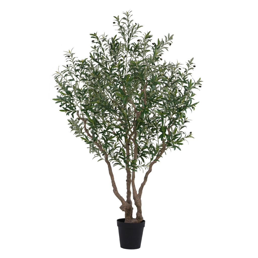 Tree OLIVE w/pot Ø140x250cm green