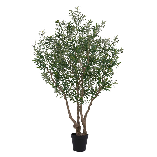 Baum OLIVE m/Topf Ø140x250cm grün