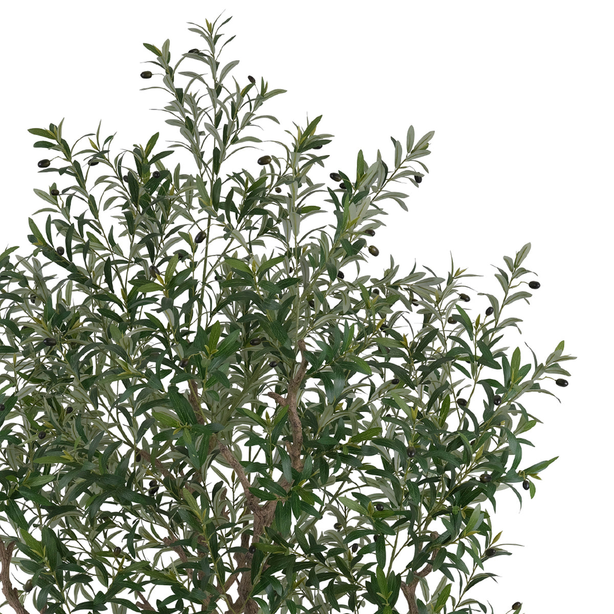 Boom OLIJF m/pot Ø140x250cm groen