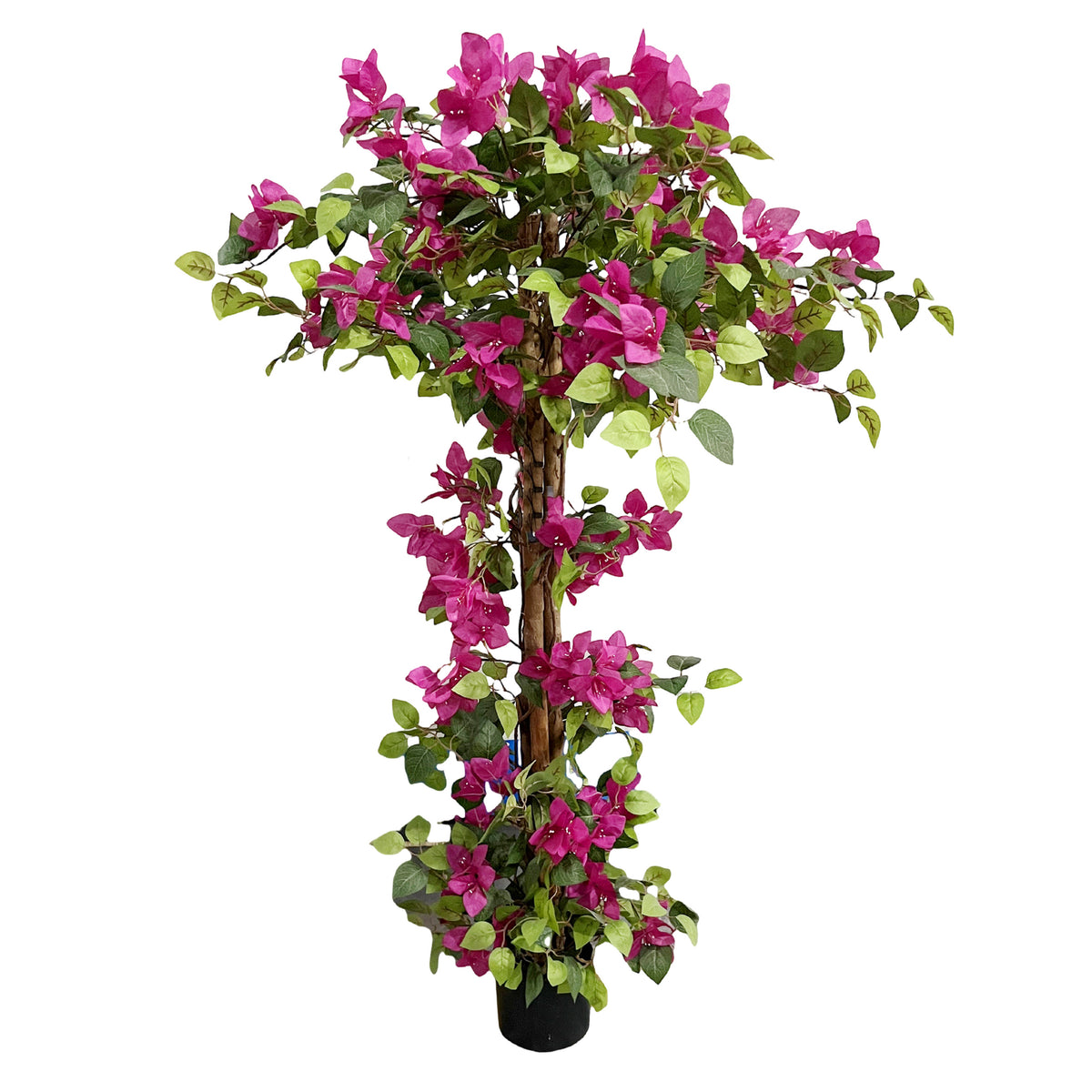 Boom BOUGAINVILLEA met pot 70x50x120cm fuchsia