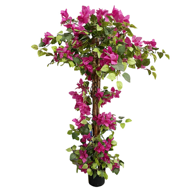 Tree BOUGAINVILLEA w/pot 70x50x120cm fuchsia