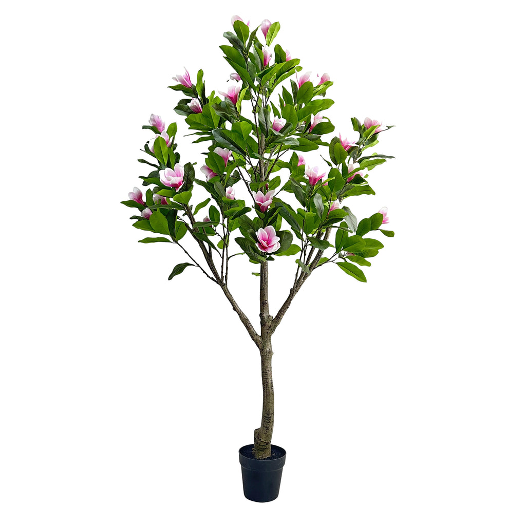 Baum MAGNOLIE m.Topf Ø128x200cm weiß rosa