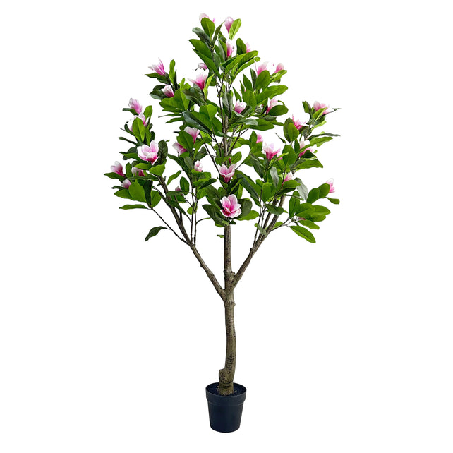 Tree MAGNOLIA w/pot Ø128x200cm white pink