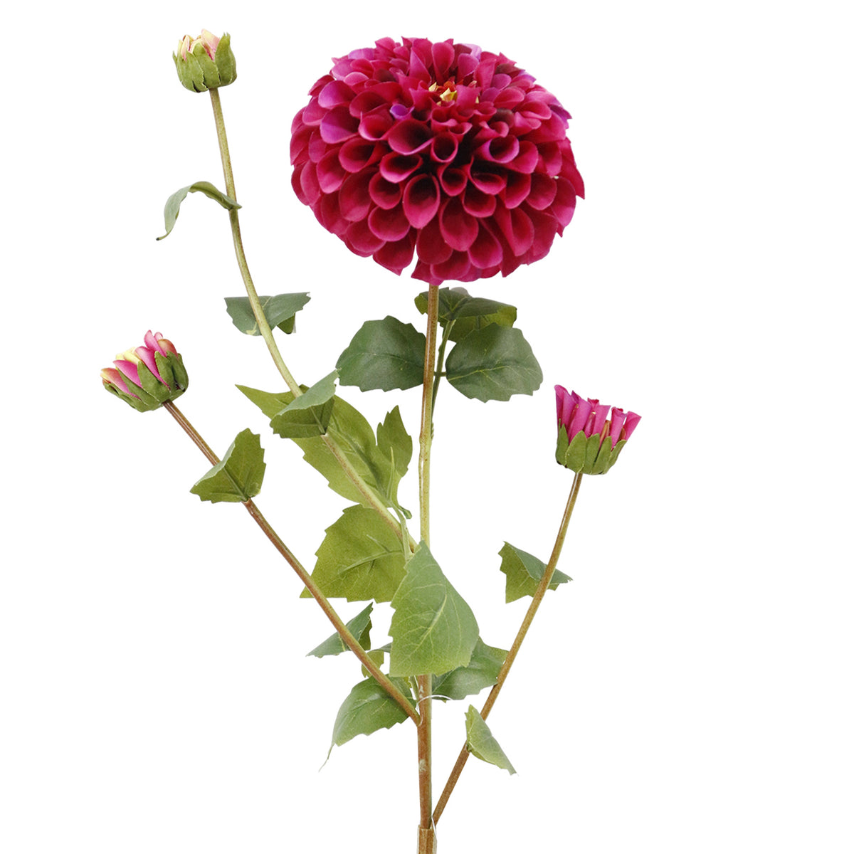 Bloem DAHLIA 77cm donkerroze