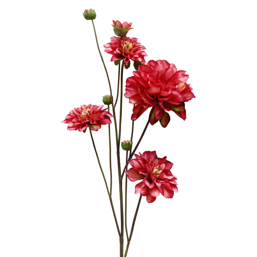 Bloem DAHLIA 114cm rood