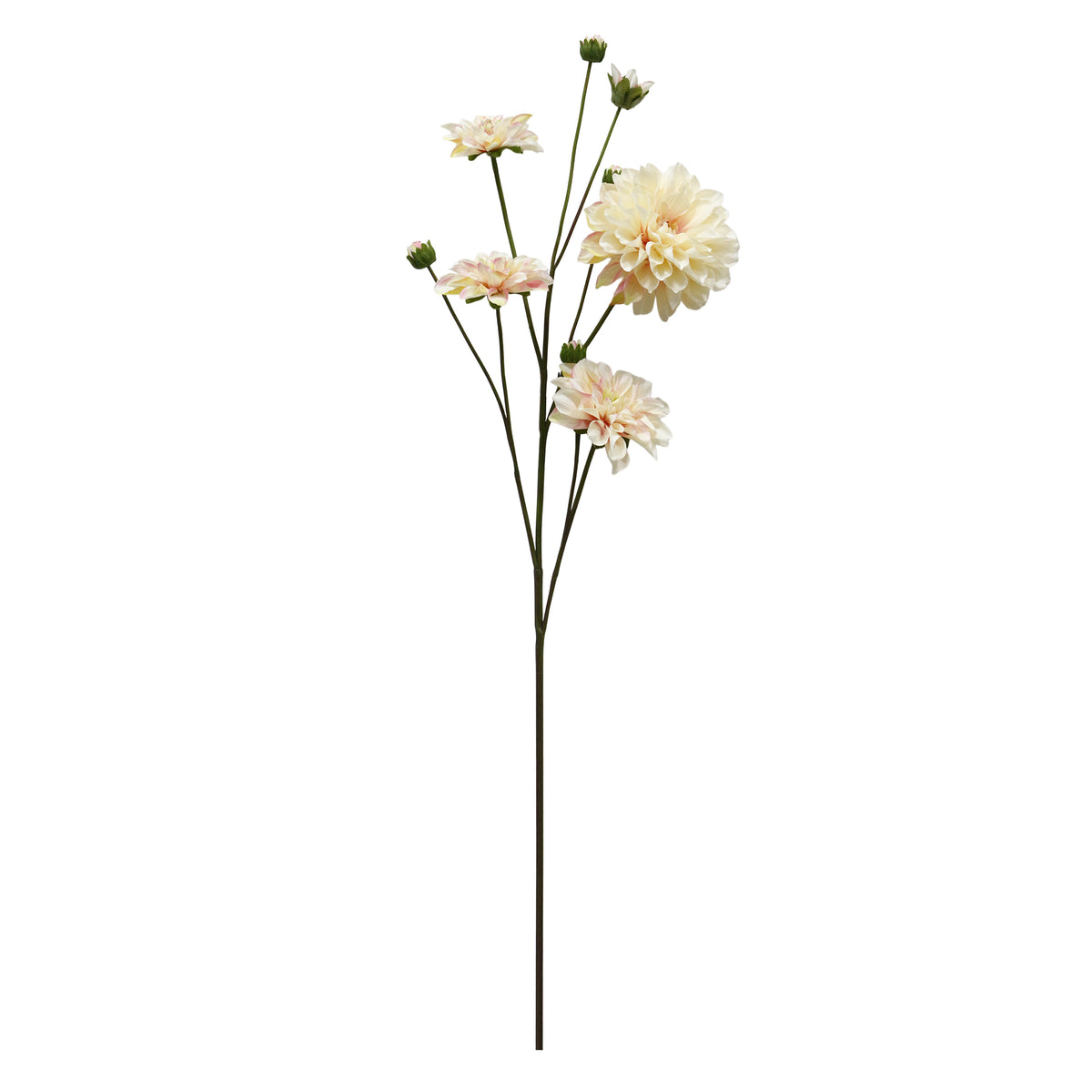Bloem DAHLIA 114cm zachtroze
