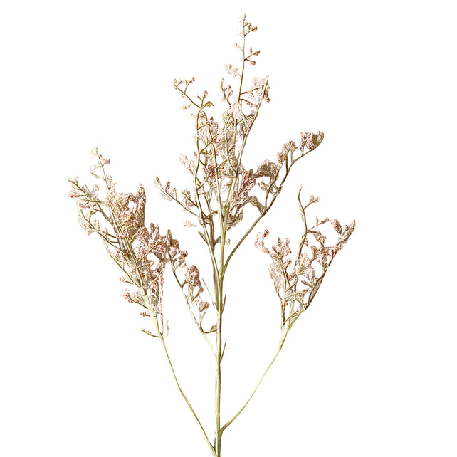 Bloem LIMONIUM 75cm lichtroze