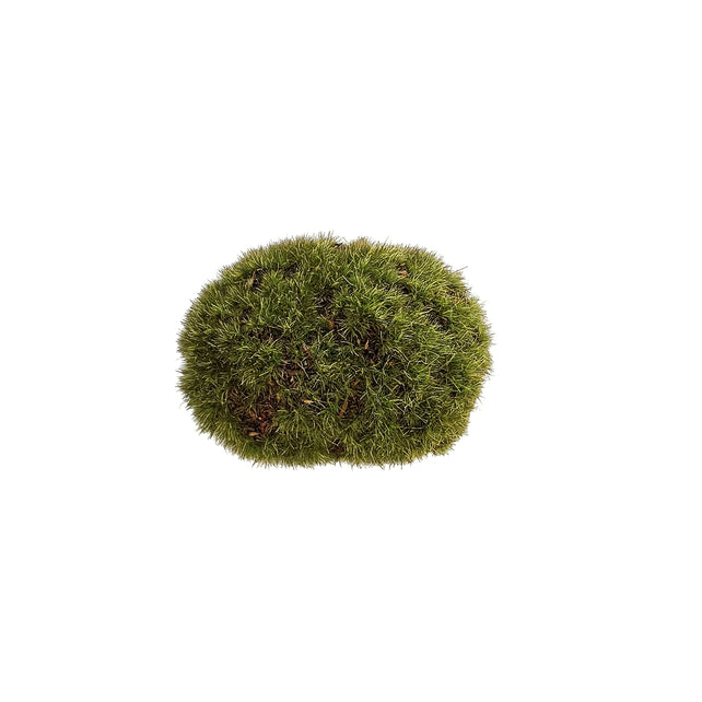 Felsen MOSS 7x9cm grün
