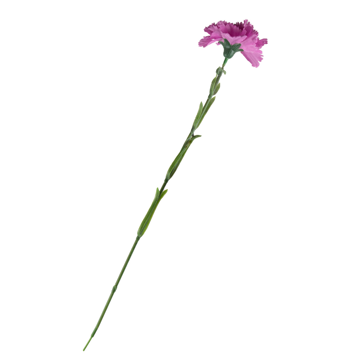 Anjer felroze 51cm