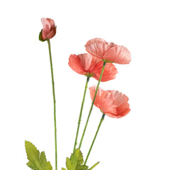 Flower poppy peach 57cm