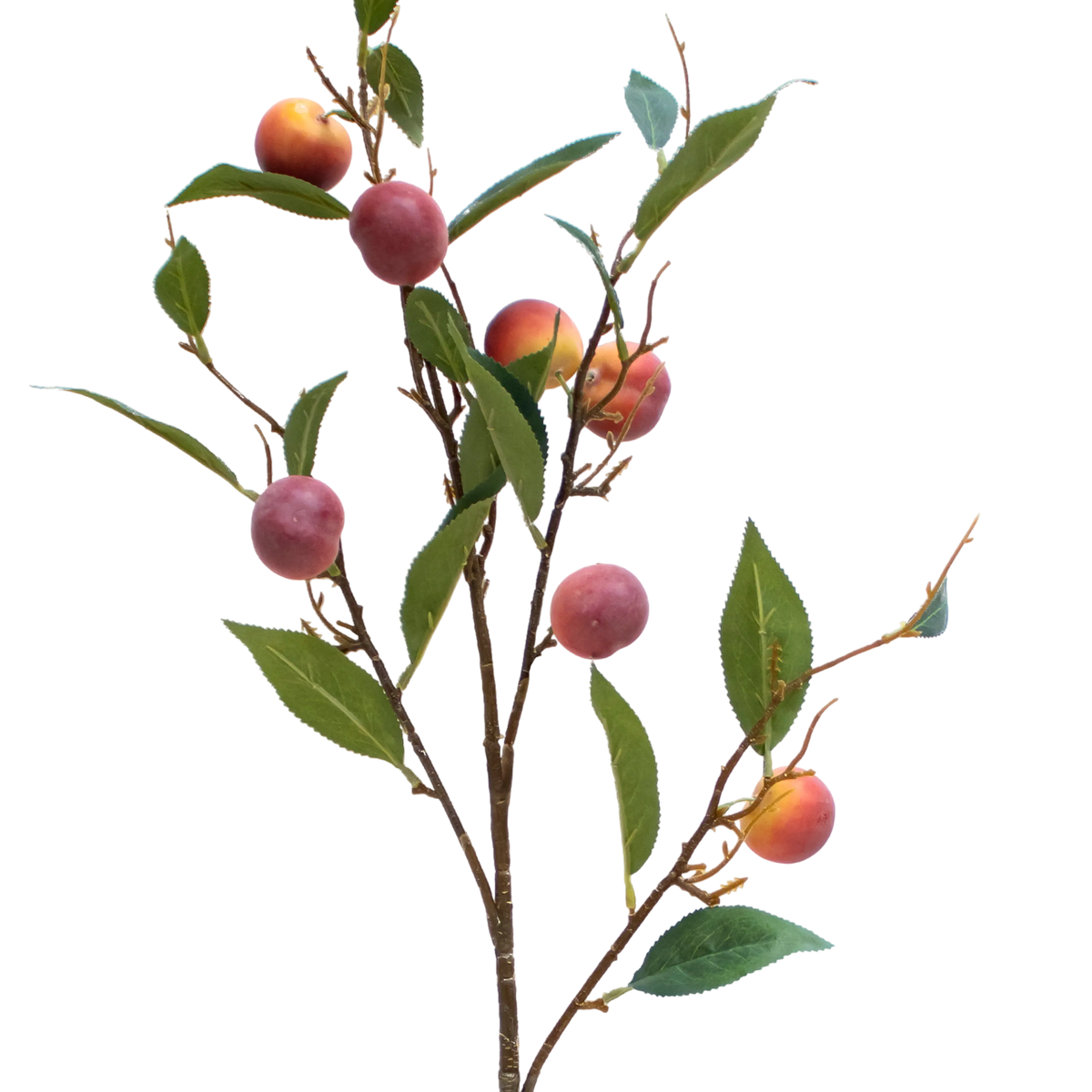 Branch plum green/red 92cm