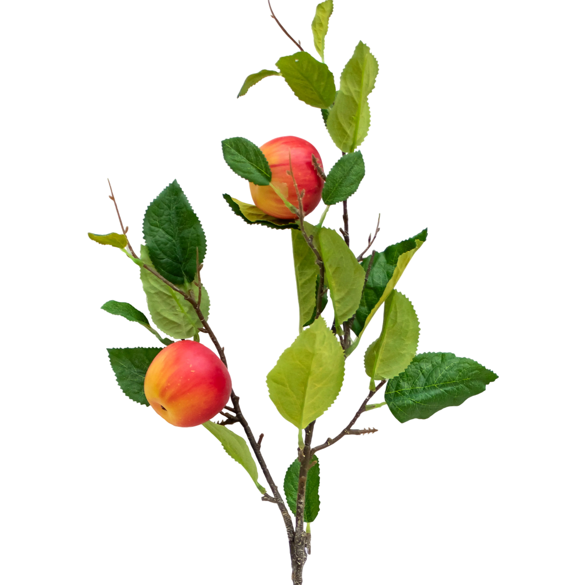 Branch apple green/red 92cm