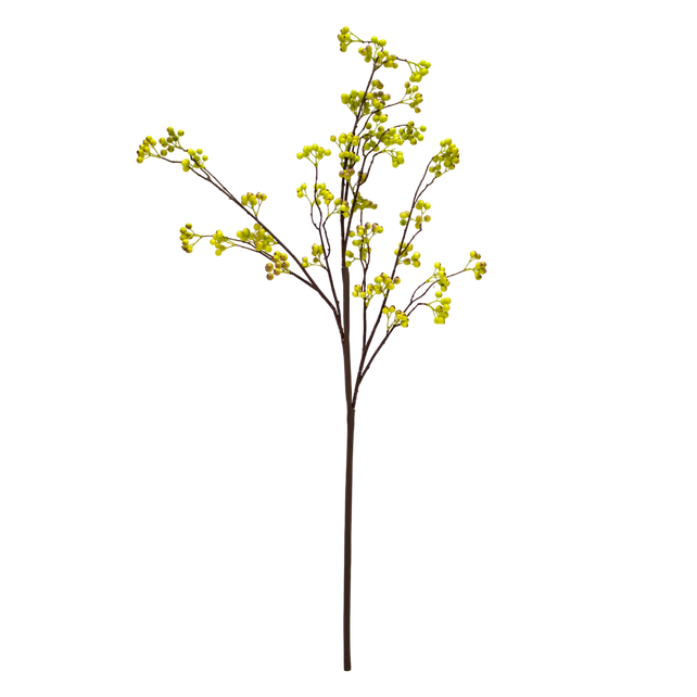 Branch fruit pulp large green 126cm