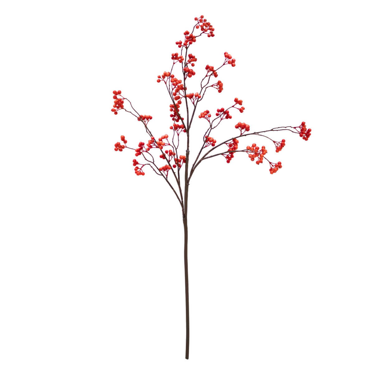 Branch fruit pulp large red 126cm