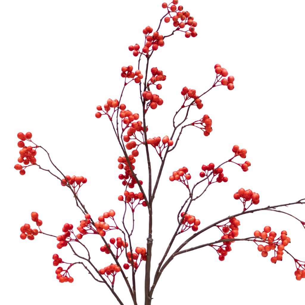 Branch fruit pulp large red 126cm