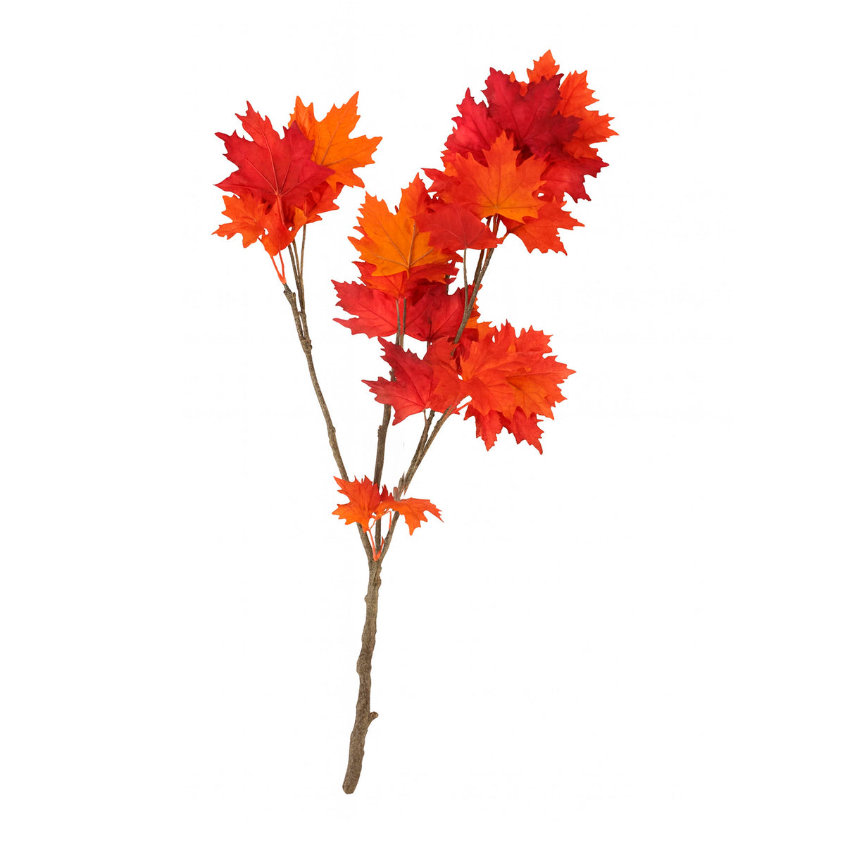 Tak MAPLE 100cm rood