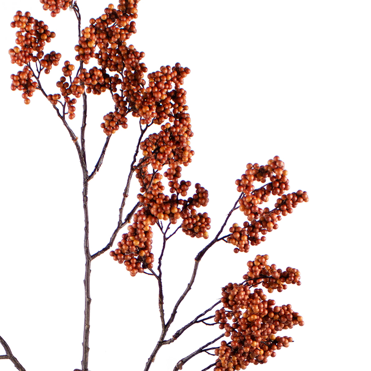 Branch BERRY 103cm orange