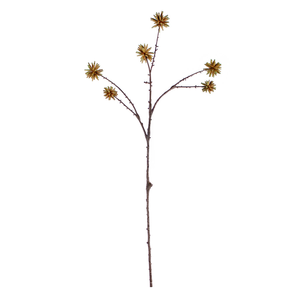 Tak CAMPTOTHECA 79cm geel
