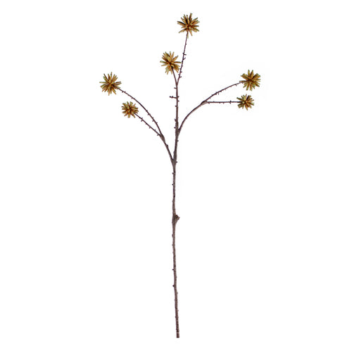 Tak CAMPTOTHECA 79cm geel