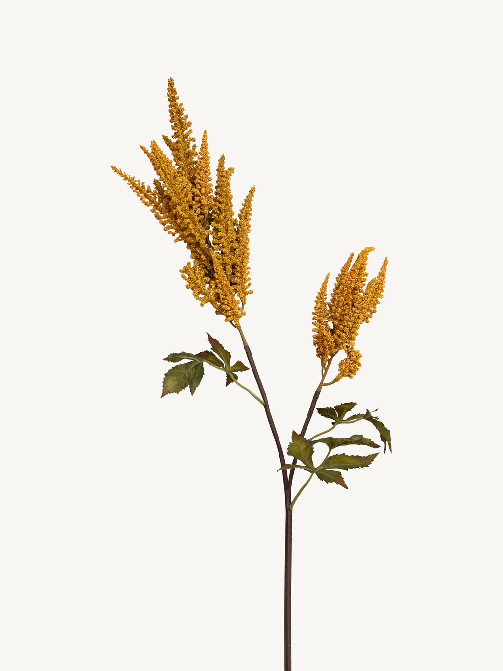 Branch COIEUS 100cm yellow
