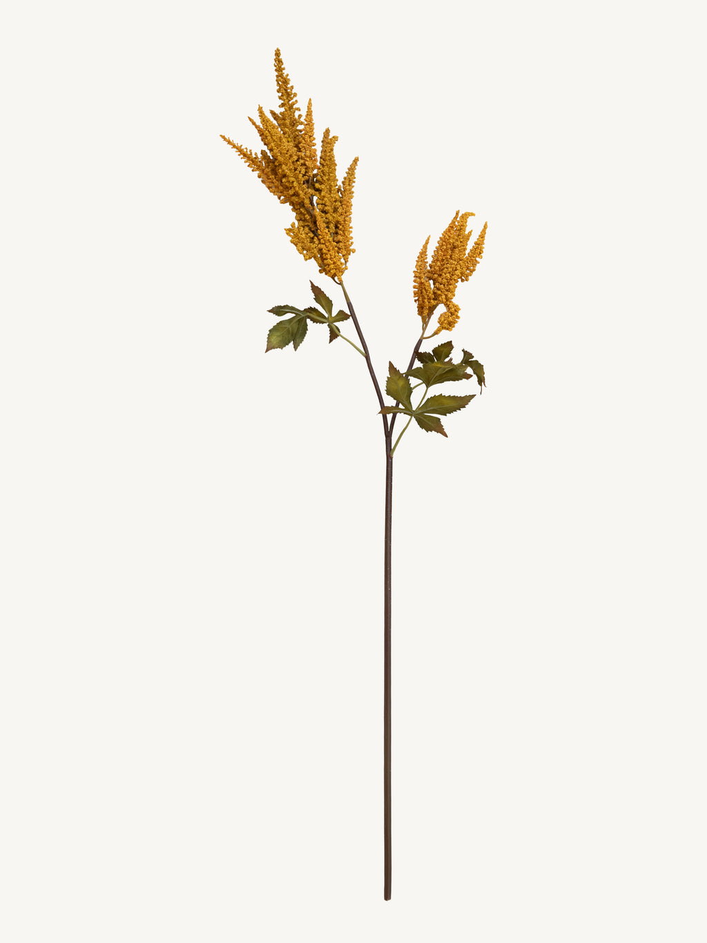 Branch COIEUS 100cm yellow