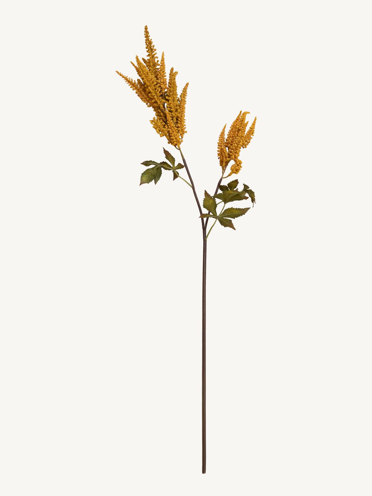 Branch COIEUS 100cm yellow