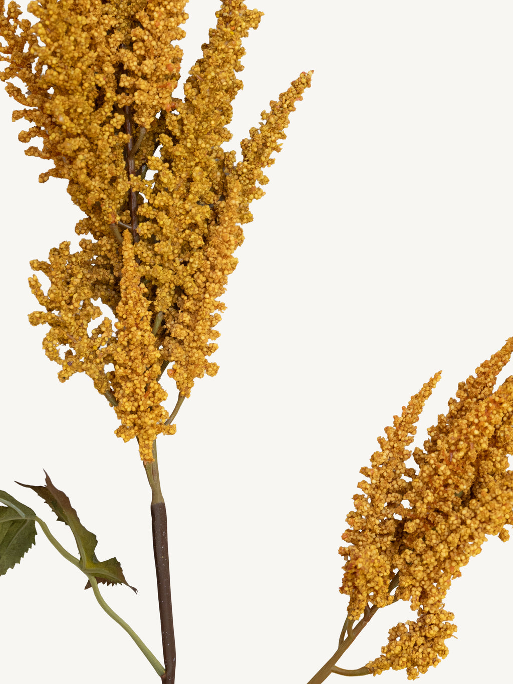 Branch COIEUS 100cm yellow