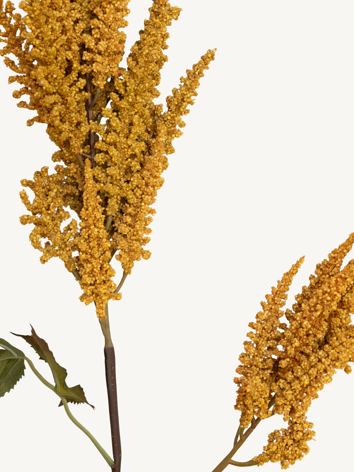 Branch COIEUS 100cm yellow