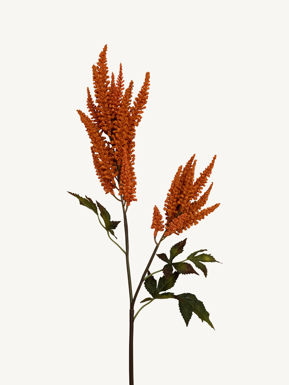 Branch COIEUS 100cm orange