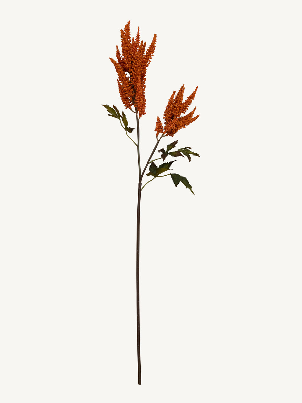 Branch COIEUS 100cm orange