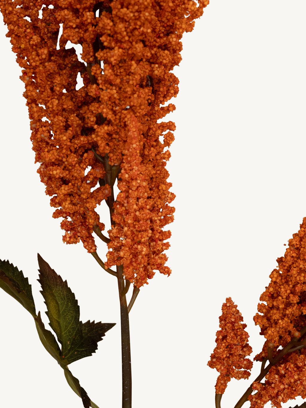 Branch COIEUS 100cm orange