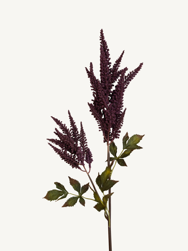 Branch COIEUS 100cm burgundy