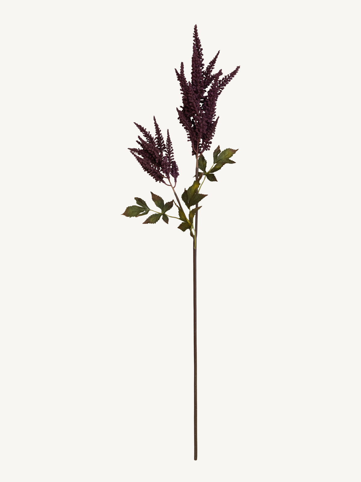 Branch COIEUS 100cm burgundy