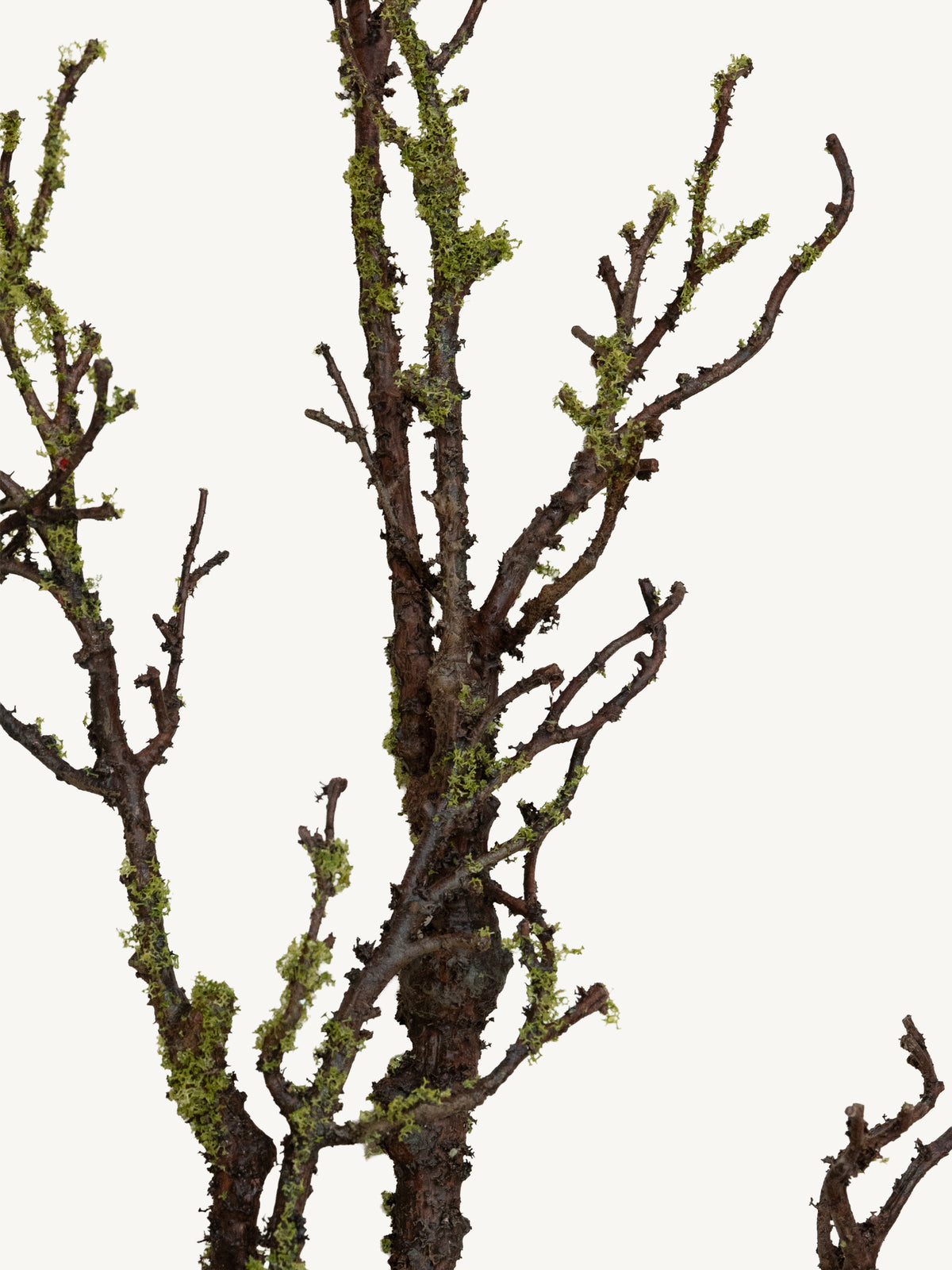 Branch DEADWOOD 116cm brown