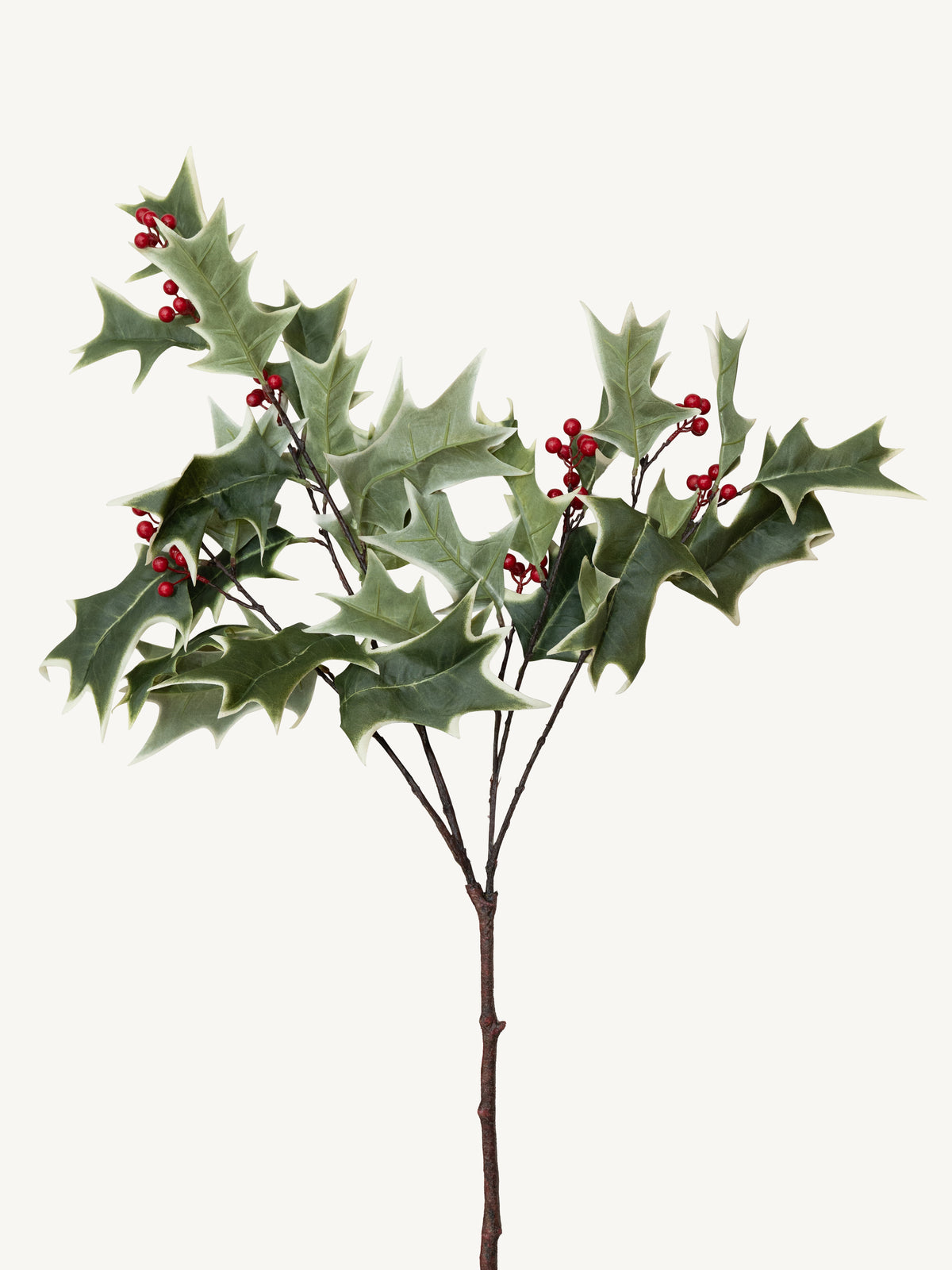 Branch ILEXZWEIG 79cm green red