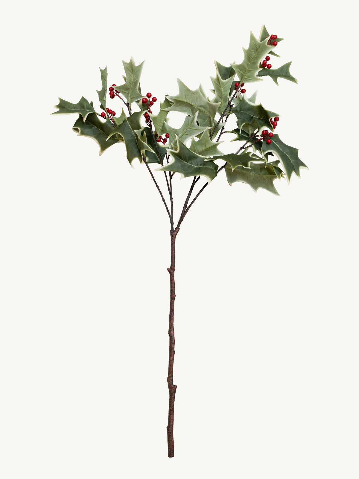 Branch ILEXZWEIG 79cm green red