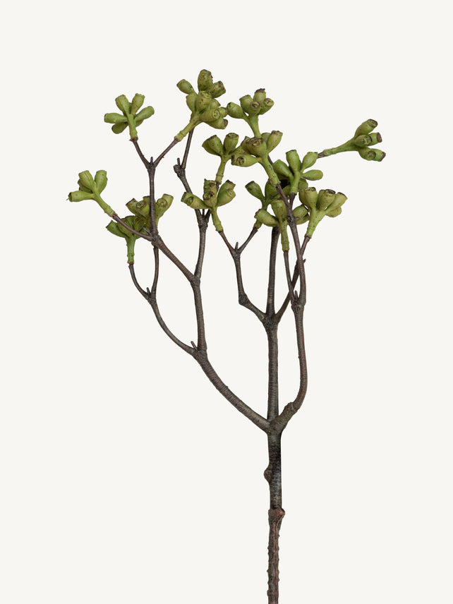 Branch BELL FRUIT 65cm green