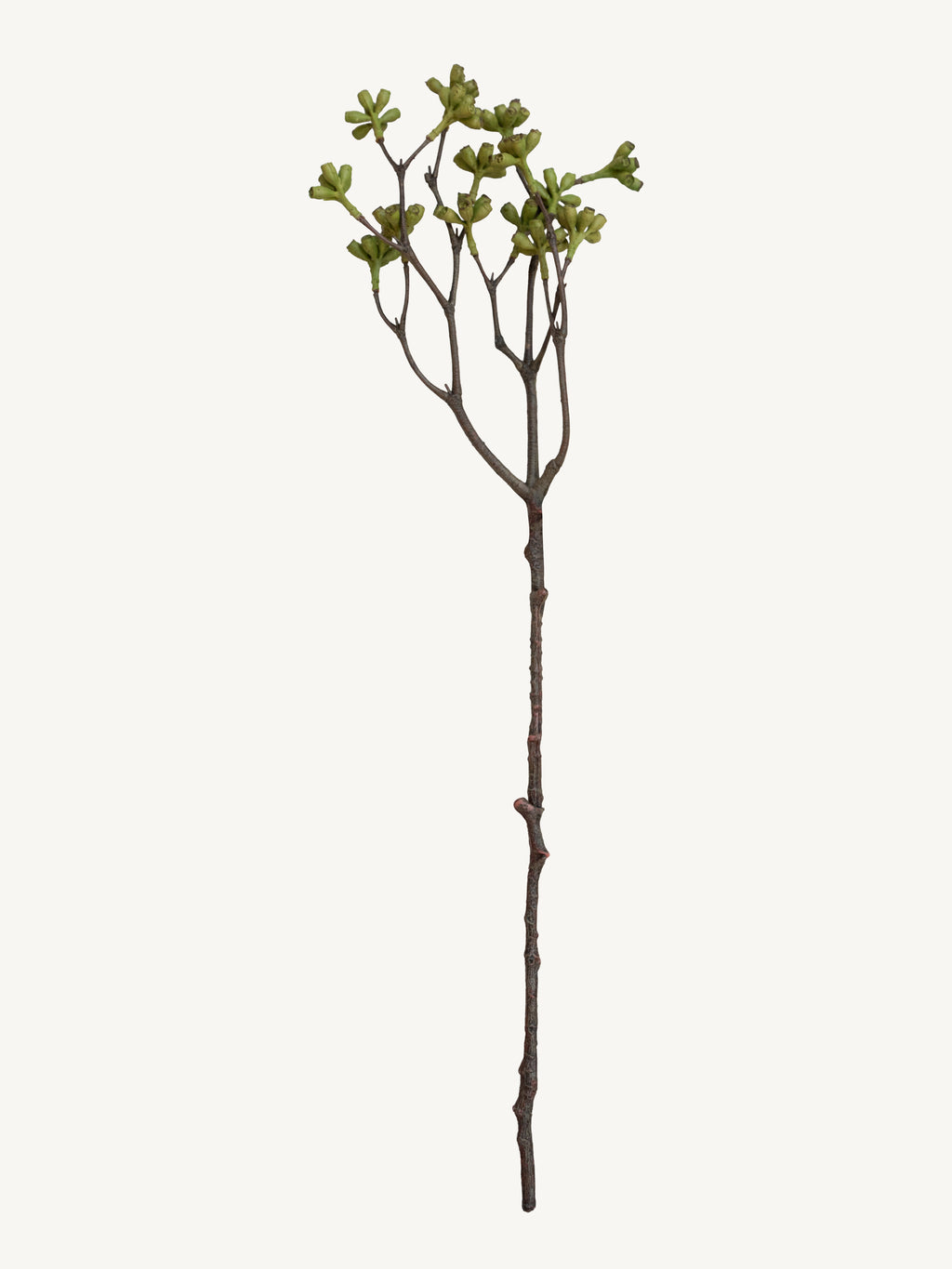 Branch BELL FRUIT 65cm green